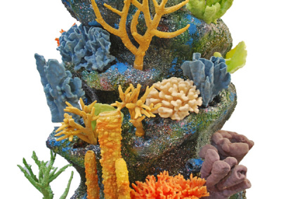 Nautilus reef kit with corals