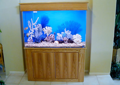Residential 110 Gallon Saltwater Aquarium System with Natural Coral Decorations