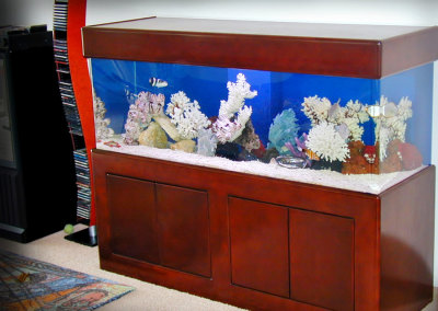 Residential 180 Gallon Saltwater Aquarium System with Natural Coral Decorations