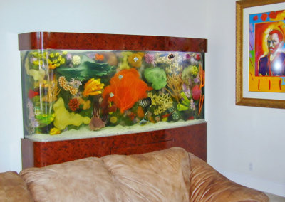 Residential Aquarium