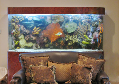 Residential Aquarium