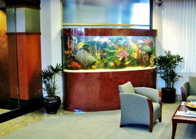 Residential 275 Gallon Custom Bowfront Saltwater Aquarium System with Artificial Reef Structure and Custom Burlwood Cabinetry
