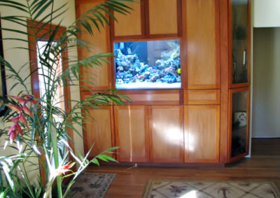 Residential Aquarium