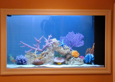 Residential Aquarium