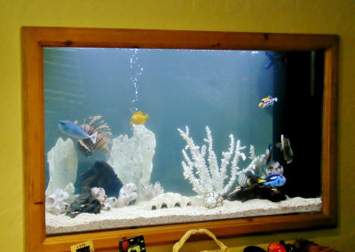 Residential Aquarium