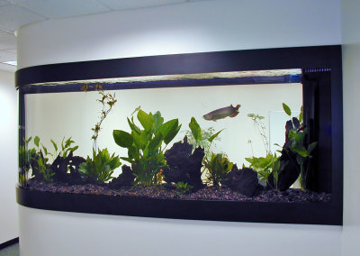 Commercial Aquarium, Nobel