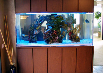 Commercial Aquarium, One Coach