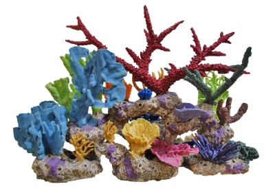 Barbados-with-corals