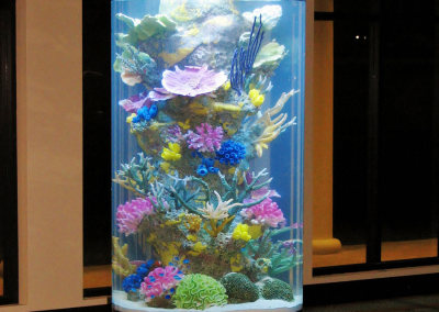 Commercial Aquarium, Quarry Beach Club