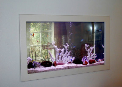 Residential Aquarium