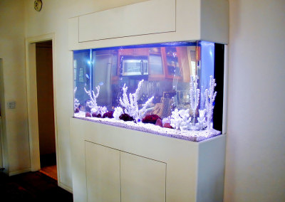 Residential Aquarium