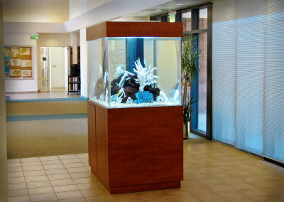 Commercial Aquarium, Senior Center