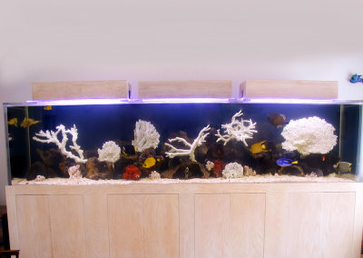 Residential Aquarium