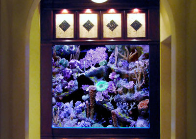 Residential Aquarium