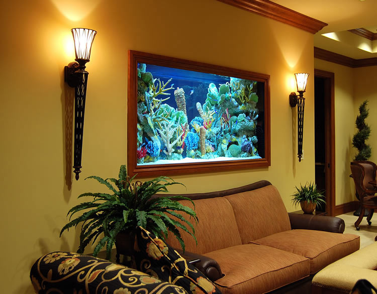 custom aquarium services san diego