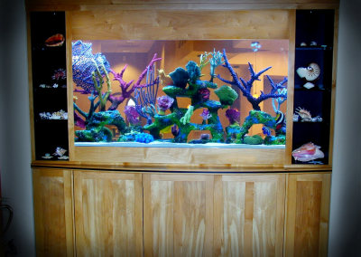 Residential 250 Gallon See Thru Saltwater with Artificial Reef Insert