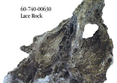 lace-rock-2