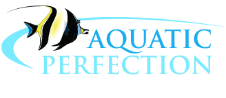 Aquatic Perfection