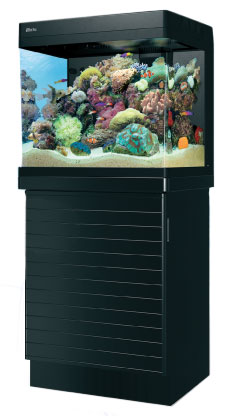 redseamax-130d-delux-coral-reef