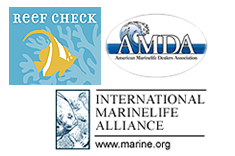 reef-amda-ima-logos