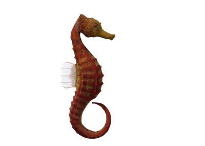 Seahorse